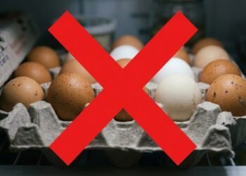 4 erros ao guardar ovos que reduzem a segurança e fazem o alimento perder qualidade