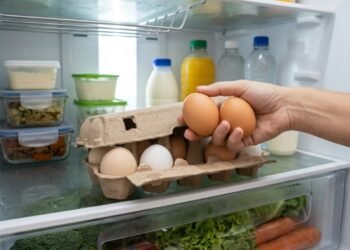 Ovos de galinha devem ficar na geladeira ou fora dela? Veja a forma correta que muita gente ainda erra