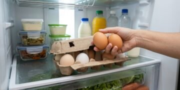 O local escolhido pode influenciar a conservação e a segurança dos ovos.