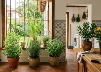 Plante estas 7 plantas em casa e aproveite seus aromas que podem ajudar a afastar baratas
