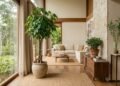 3 plantas que trazem um toque de luxo para a sala e são ligadas à prosperidade