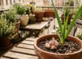 O efeito do alho na proteção de plantas e o que a ciência diz sobre compostos naturais