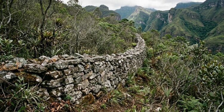 O segredo está em misturar os restos certos e manter a passagem de ar