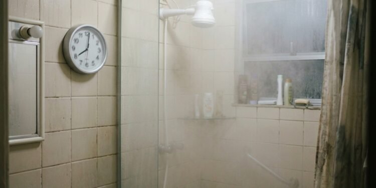 O total diário pode reunir vários banhos e muda de uma casa para outra