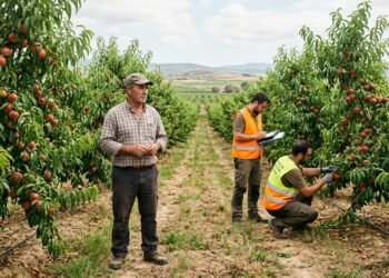 Produtor rural foi detido e enfrentou multa milionária após plantar e vender fruta sem permissão
