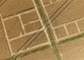 Seca revela estruturas da cidade romana de Aventicum