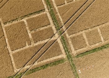 Seca revela estruturas da cidade romana de Aventicum