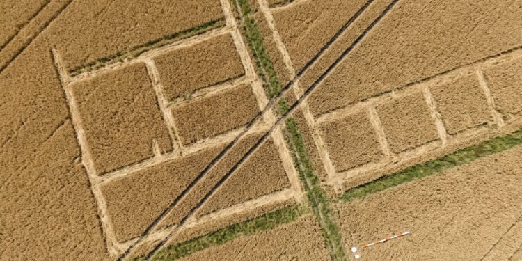 Seca revela estruturas da cidade romana de Aventicum