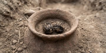 O alimento preservado ajuda a entender como antigas comunidades conseguiam formar estoques para períodos mais longos