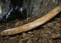 A nova datação coloca o objeto em um período muito mais remoto da história humana