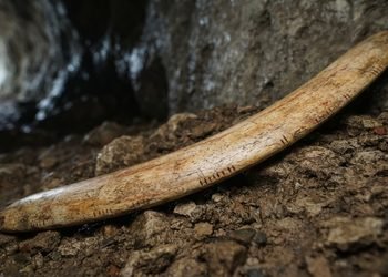 A nova datação coloca o objeto em um período muito mais remoto da história humana