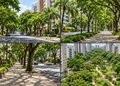 A presença de áreas verdes ajuda a criar uma paisagem urbana diferente daquela encontrada em muitas grandes cidades - Imagem ilustrativa
