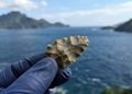 A presença das ferramentas em uma ilha levanta novas perguntas sobre como seus fabricantes chegaram até lá