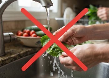Produtos usados para lavar louça não foram necessariamente desenvolvidos para entrar em contato direto com alimentos