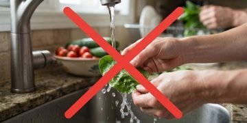 Produtos usados para lavar louça não foram necessariamente desenvolvidos para entrar em contato direto com alimentos