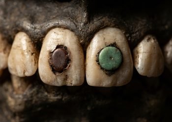 As aplicações mostram um domínio cuidadoso de materiais naturais e técnicas de fixação