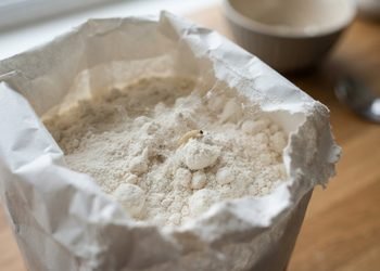 O problema pode começar antes mesmo de o pacote ser colocado dentro da despensa