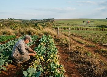 Registros meteorológicos podem ajudar a verificar as condições existentes no momento da aplicação