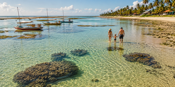 A transparência da água transforma o banho de mar em uma experiência que lembra um grande aquário natural (imagem ilustrativa)