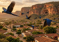 Jeremoabo surpreende pela hospitalidade de seu povo e pela beleza rústica de seus monumentos naturais - Imagem ilustrativa