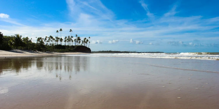 A área protegida ajuda a conservar um trecho de litoral marcado por praias, mata e vida marinha - Créditos: Wikipedia / Wikimedia Commons