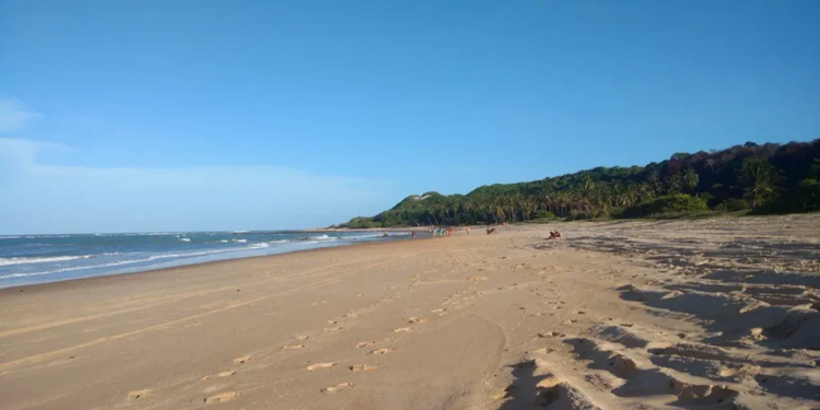 Baía Formosa reúne praias, falésias e mar aberto - Créditos: Wikipedia / Wikimedia Commons