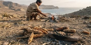 As pequenas espigas ajudam a reconstruir como diferentes tipos de milho se espalharam pelo continente