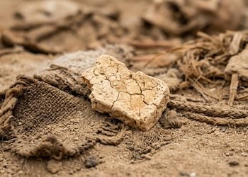 O material preservado permitiu investigar microrganismos presentes em um alimento produzido há milhares de anos