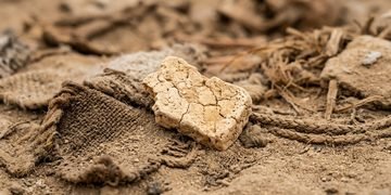 O material preservado permitiu investigar microrganismos presentes em um alimento produzido há milhares de anos