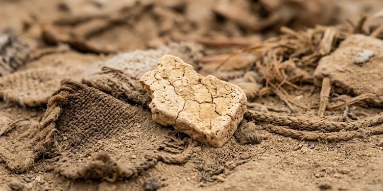O material preservado permitiu investigar microrganismos presentes em um alimento produzido há milhares de anos