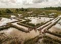 A estrutura mostra como comunidades antigas podem ter transformado áreas alagadas em fontes de alimento
