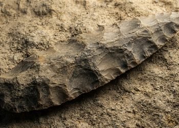 As dimensões incomuns da peça levantam dúvidas sobre a função que ela teria desempenhado