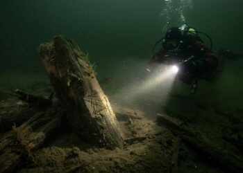 Madeira de 10.500 anos encontrada no Lago Arendsee