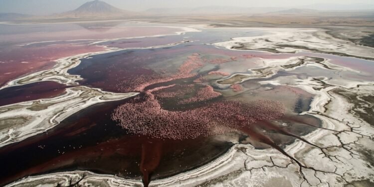 Por que o Lago Natron é vermelho e abriga flamingos