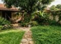 Plantas alternativas ao gramado tradicional