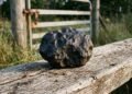 Meteorito usado como peso de porta foi avaliado em US$ 100 mil