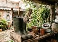 Um calçado que já não serve para os dias de chuva pode ajudar na organização do jardim