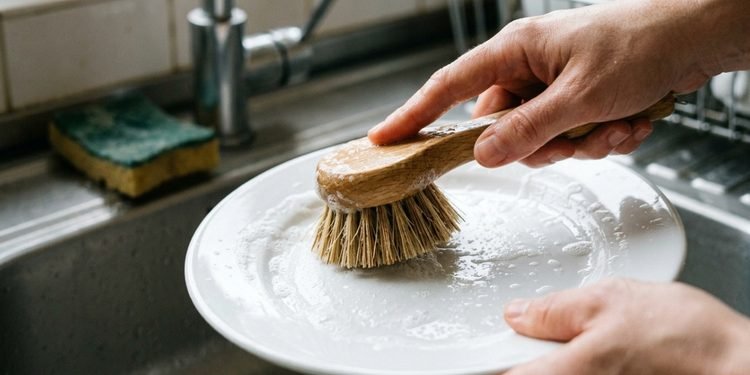 As cerdas abertas permitem que água e resíduos saiam com mais facilidade depois do uso - IMAGEM ILUSTRATIVA