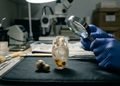 Um frasco romano guardou restos de perfume por cerca de 2 mil anos, e a análise revelou um ingrediente ainda usado nas fragrâncias de hoje