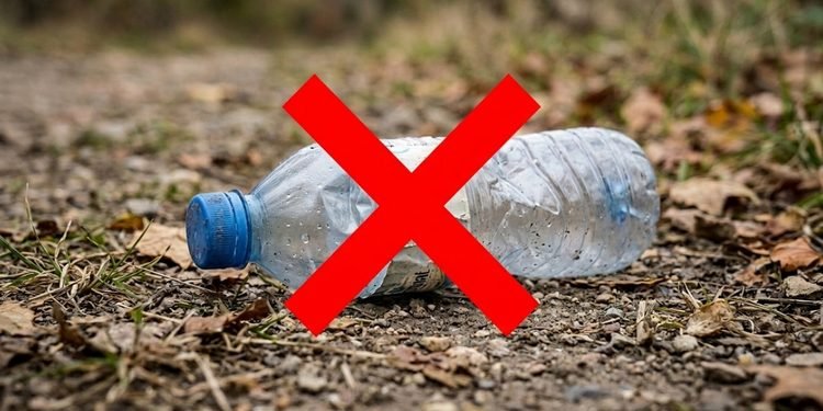 Uma solução criativa mostra como materiais simples podem ajudar no cuidado com as plantas.