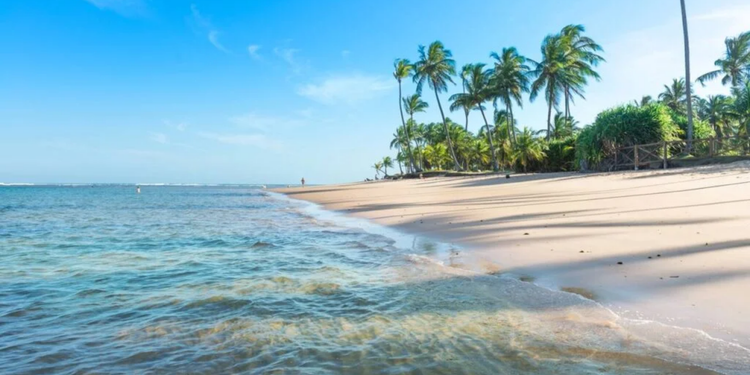 A mudança da maré revela um cenário que permanece escondido durante boa parte do dia