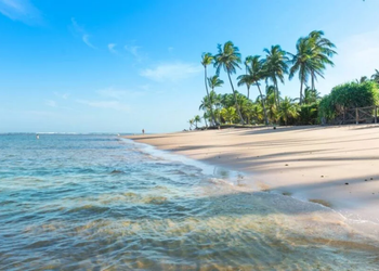 A maré baixa transforma parte do litoral e revela piscinas protegidas entre formações naturais - Créditos: depositphotos.com / Junot