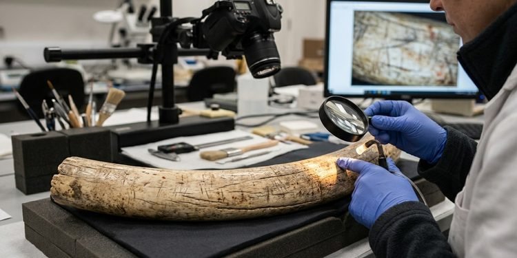 O objeto revela habilidades de fabricação desenvolvidas muito antes das primeiras civilizações