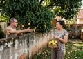 Uma situação comum entre terrenos vizinhos acabou provocando uma cobrança inesperada