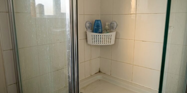 Suporte de canto com ventosas no box sem perfuração