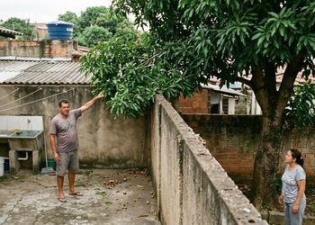 O direito de cortar galhos que ultrapassam a divisa não significa poder derrubar qualquer árvore.