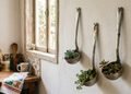 Um utensílio antigo pode ganhar uma nova função e trazer um toque verde para a decoração